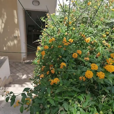 Incantevole Le Due Palme Lecce